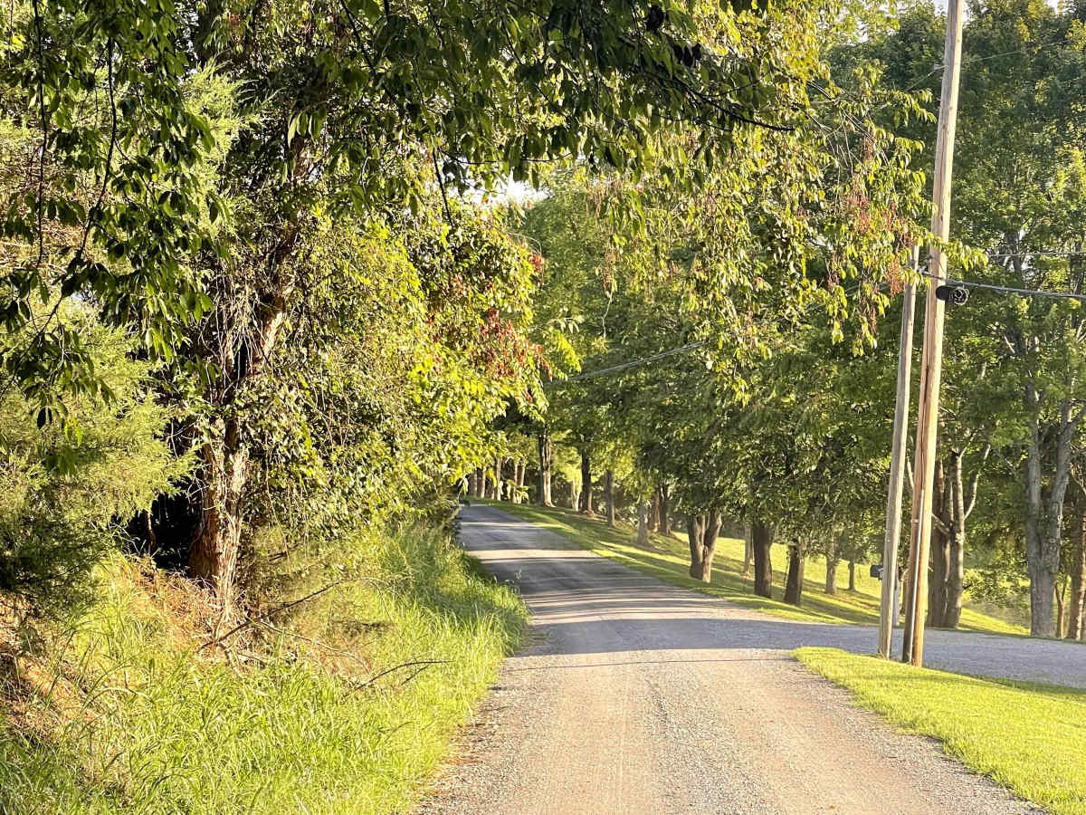 Steven's Road photo 5