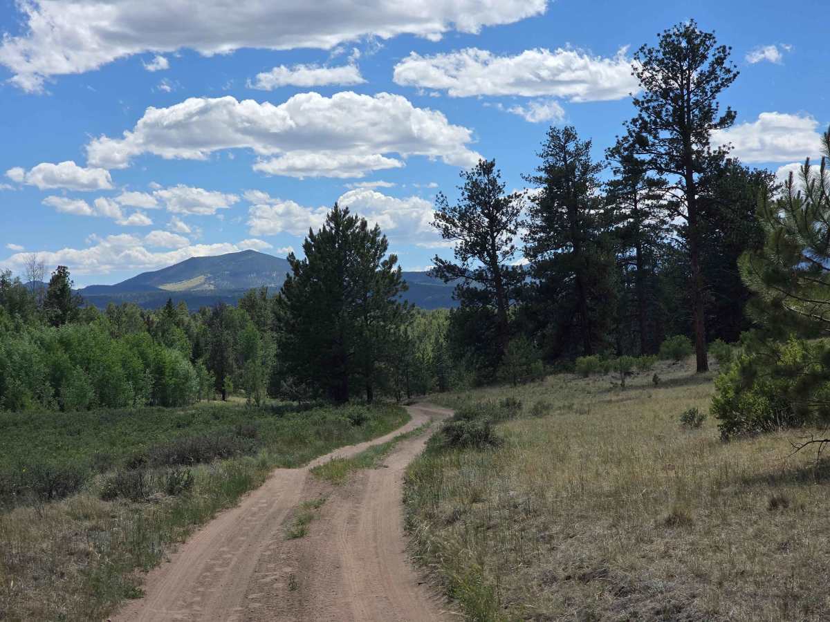 Nice Camp Road - FS 244A photo 3