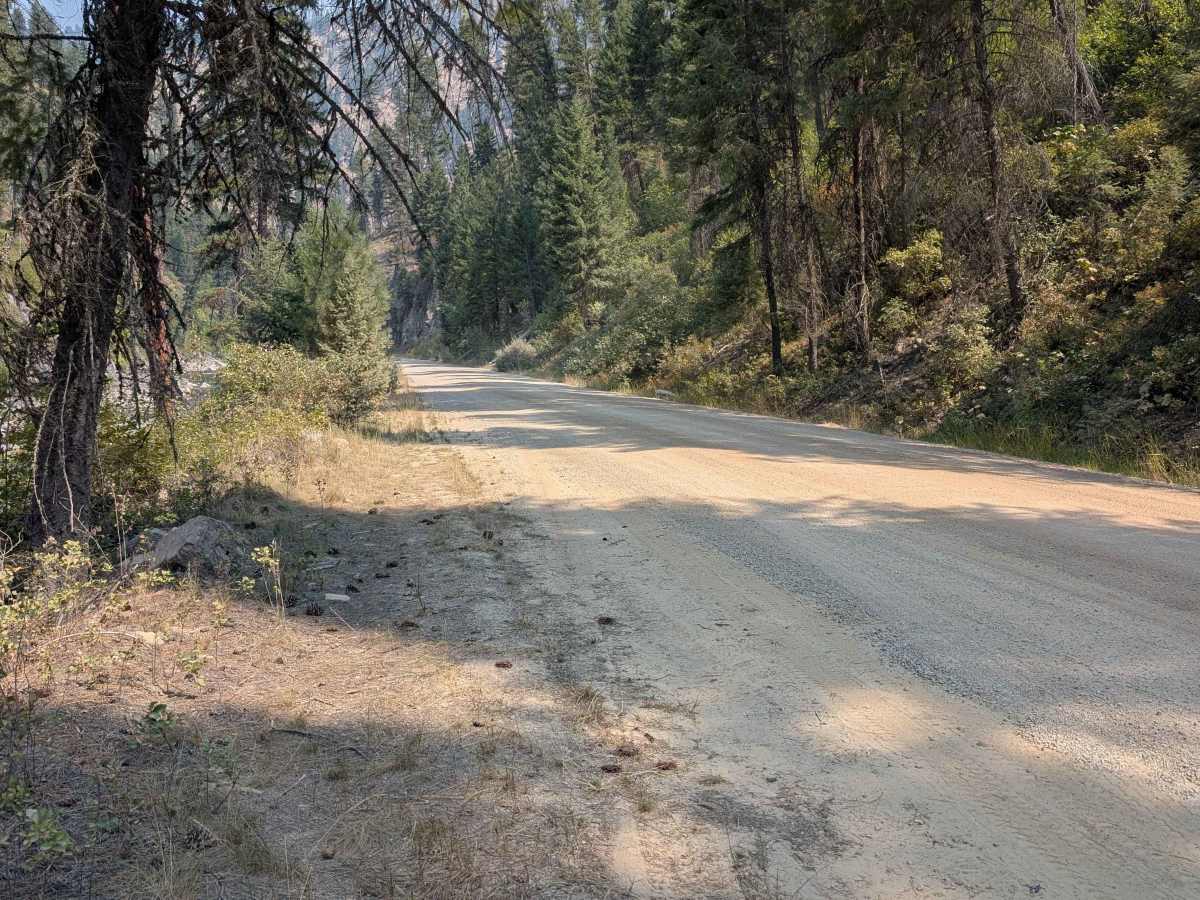 East Fork Road - FS 412 photo 3
