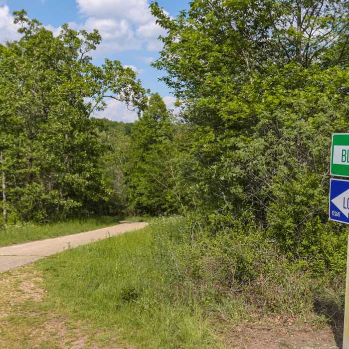 Near Low Bridge Trail