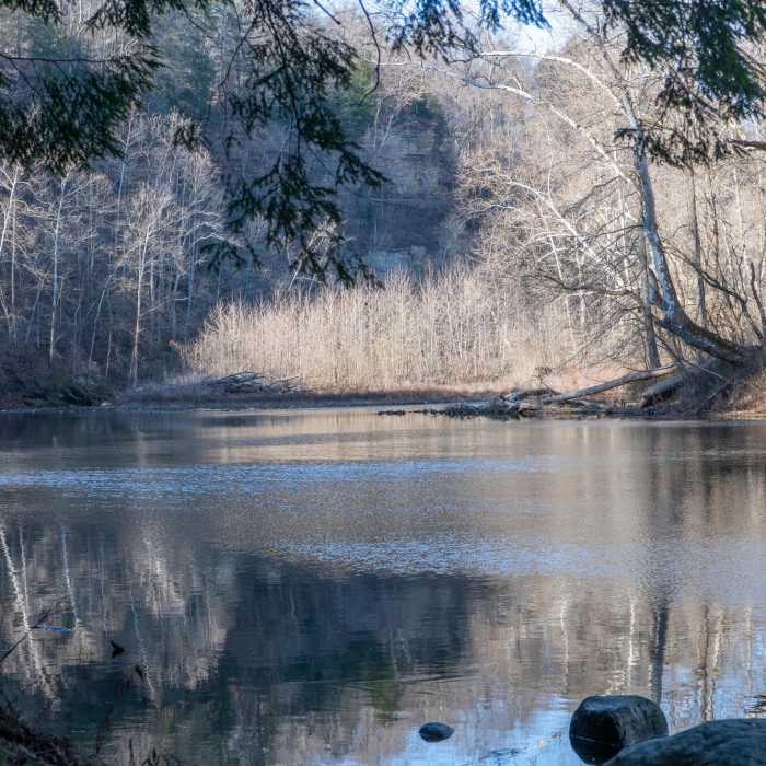 Near Trail 2