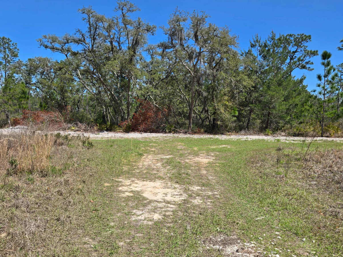 Firebreak Road photo 3