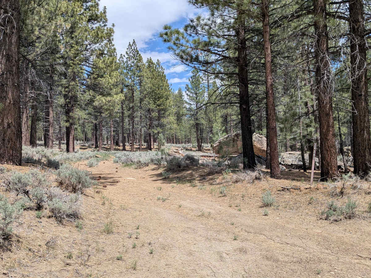 Taylor Creek - FS 24S43 photo 3
