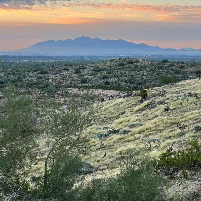 Near Mule Deer Trail