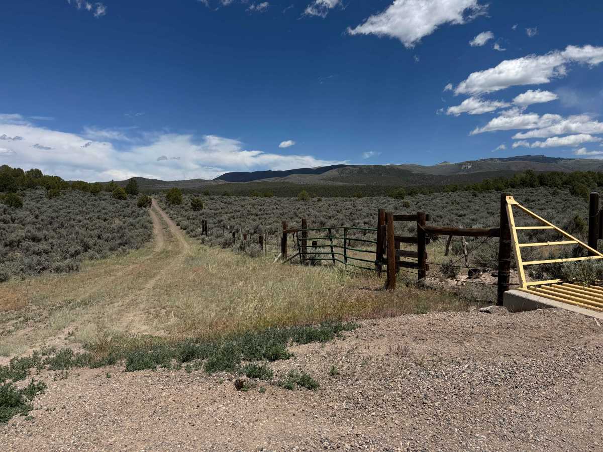 BLM 8482 trail photo