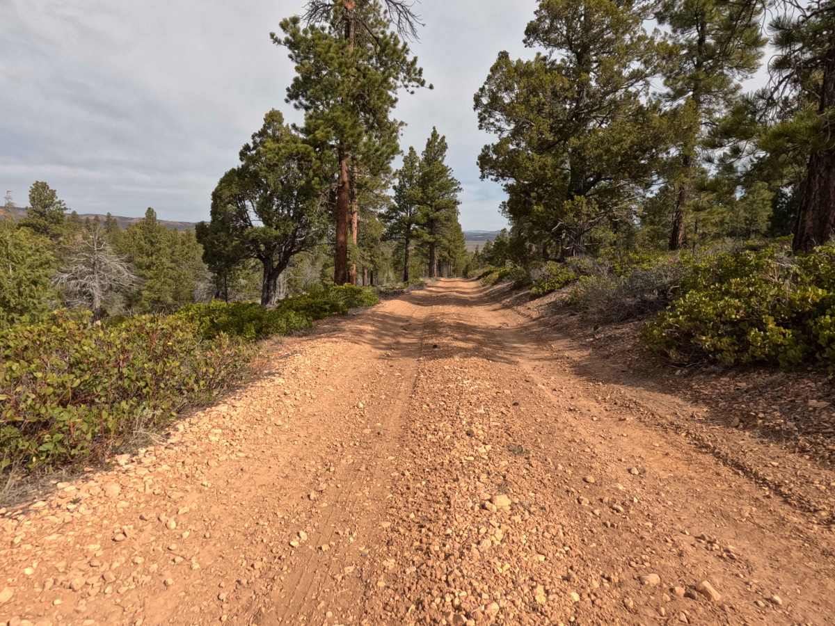 East Fork Dave's Hollow photo 6