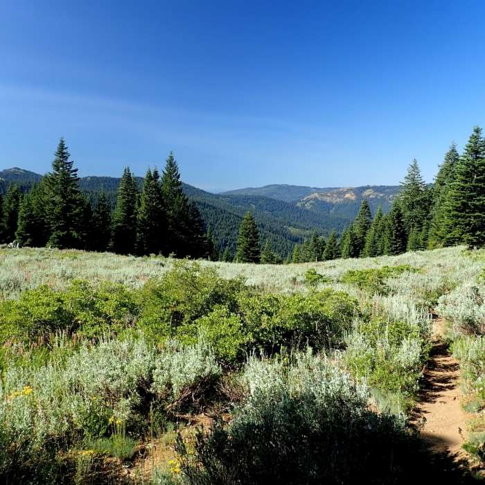 Near Wagner Butte Trail #1011