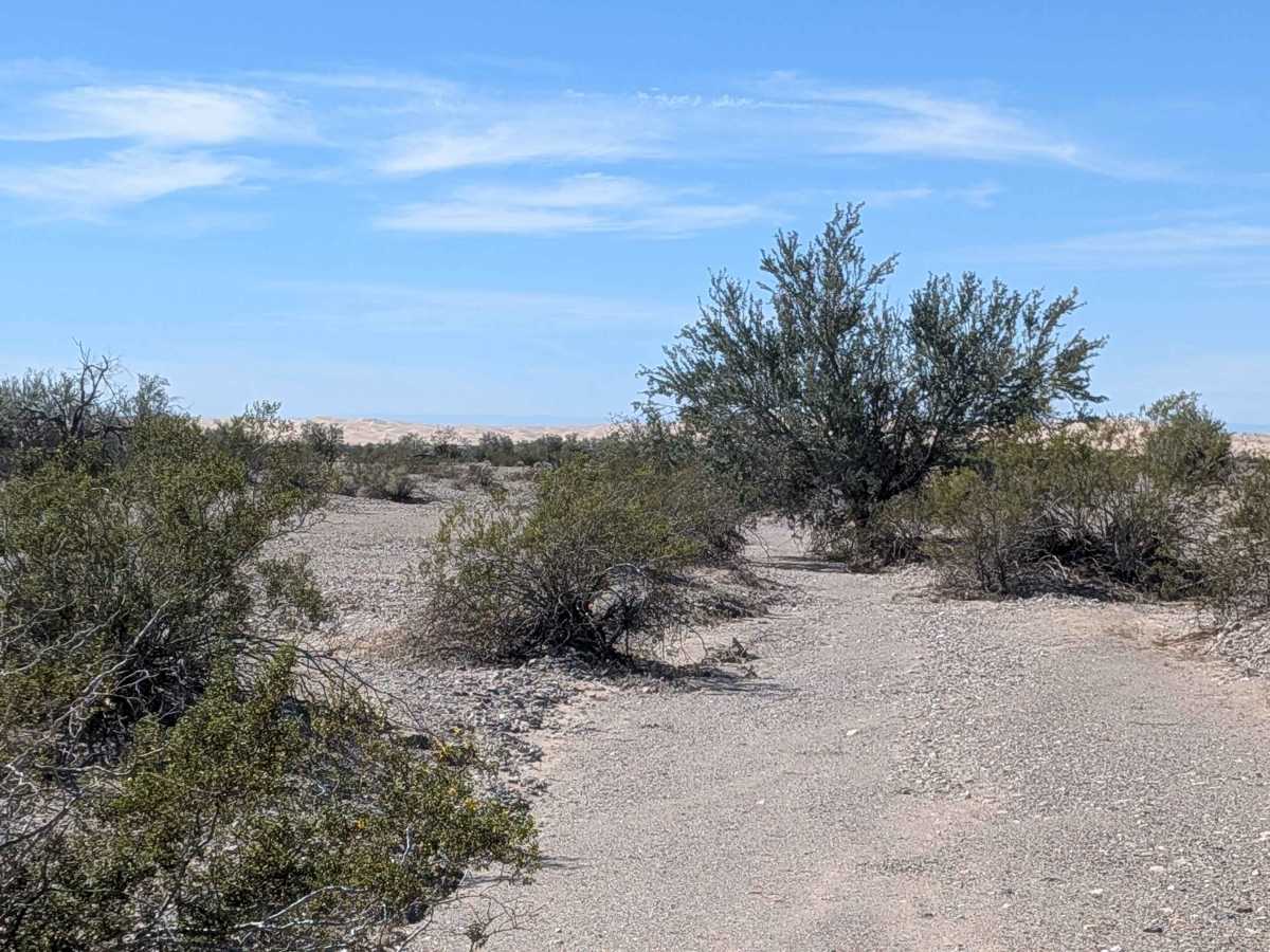 BLM 758 photo 2