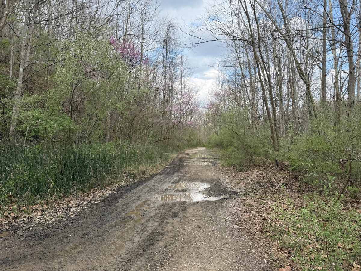 Superior Corridor Trail photo 6