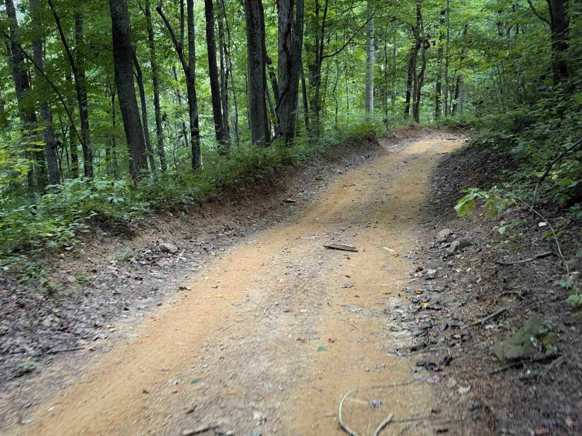 Meadow Branch Trail photo 6