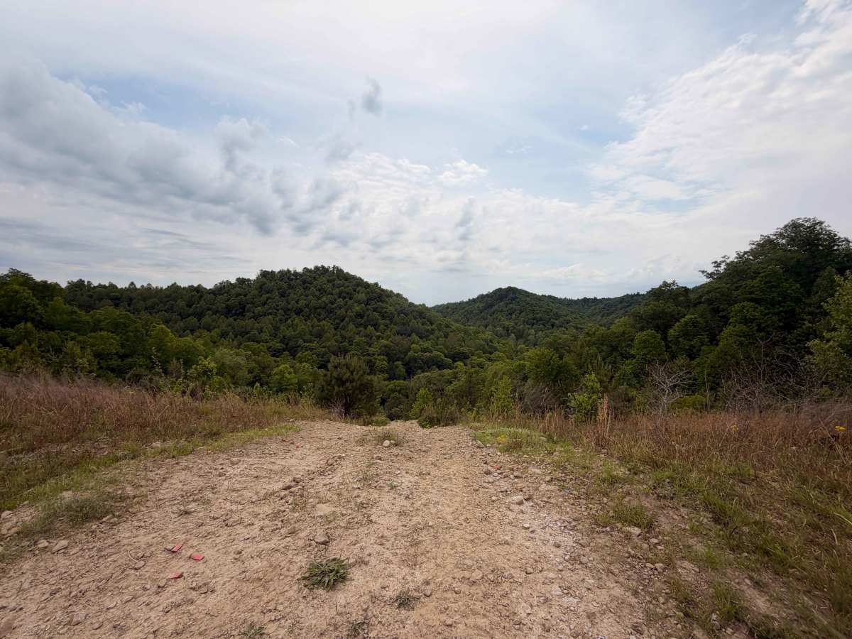 Oval Ridge trail photo