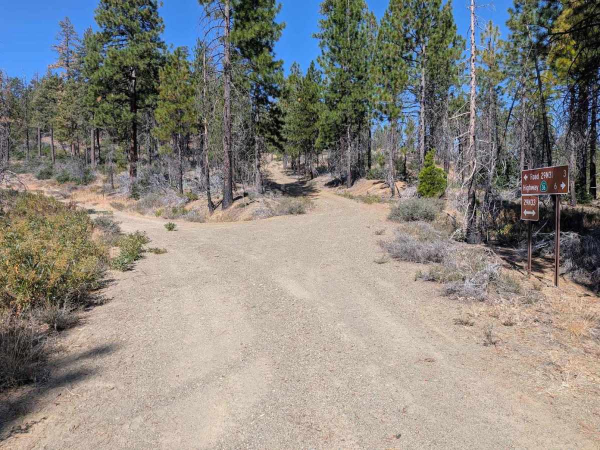 Panther Ridge Road - FS 29N33 photo 4