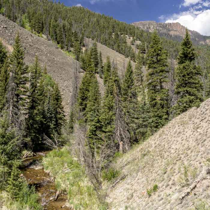 Near Miners Creek Trail