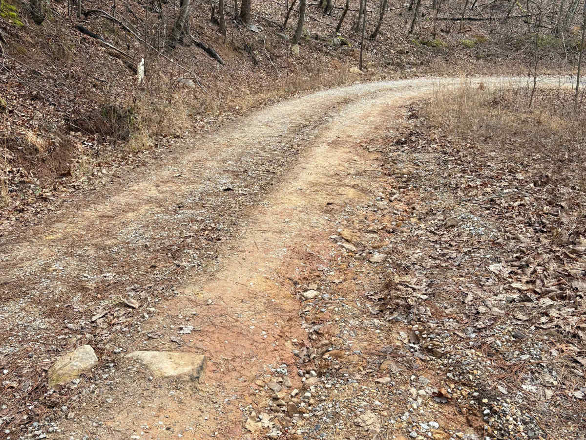 FS 231 photo 3