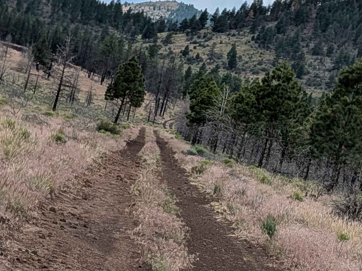 Sisters - FS 45N24Y trail photo