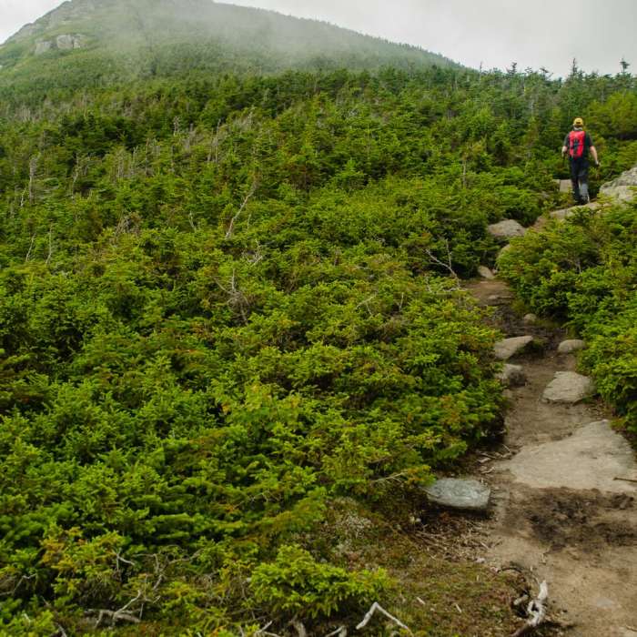 Near North Twin, South Twin + Galehead Mountains