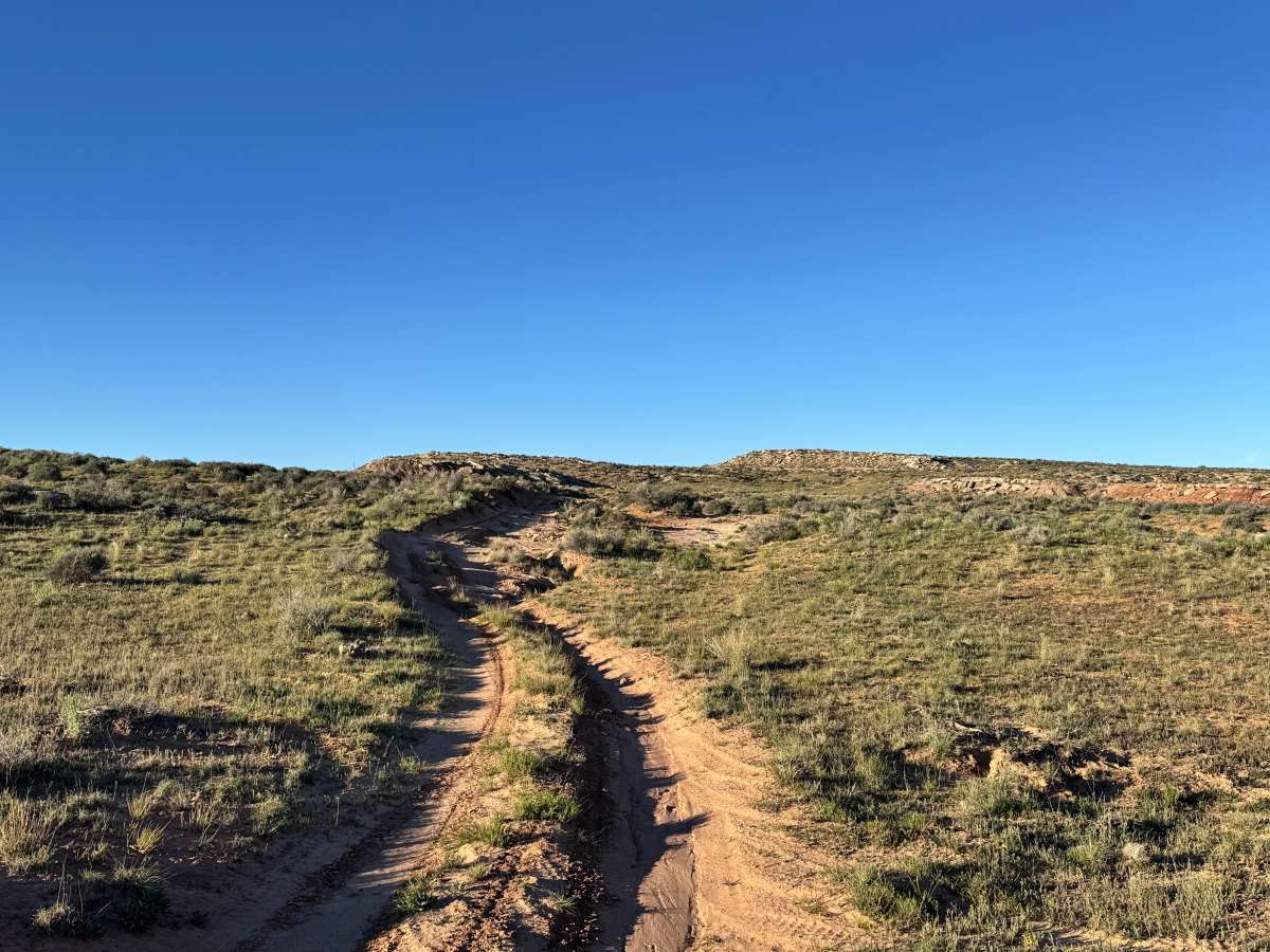 Memphis Hill trail photo