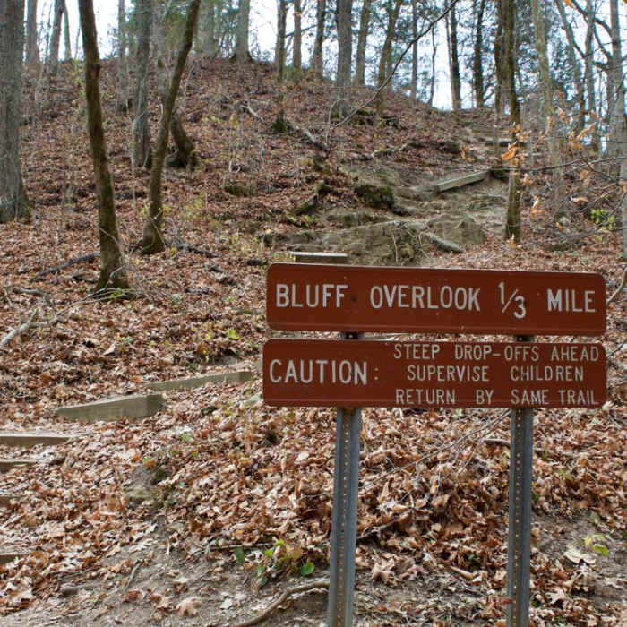 Near Narrows of the Harpeth