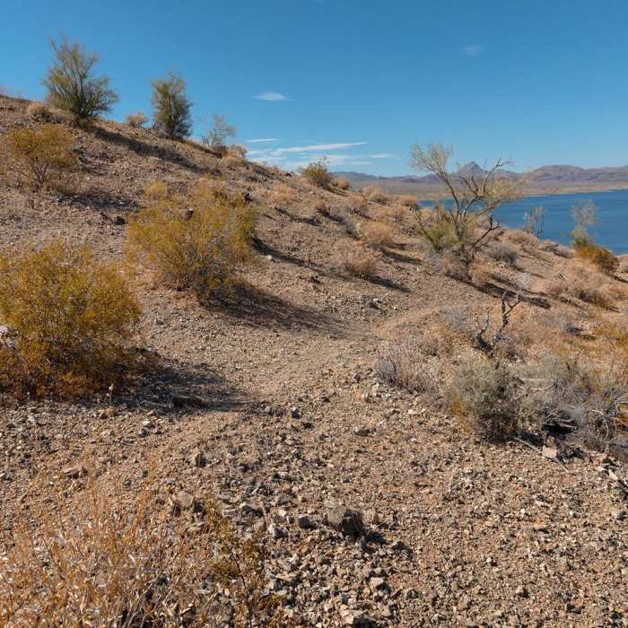 Near Rattlesnake Overlook
