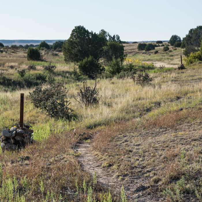 Near Vogel Canyon Loop