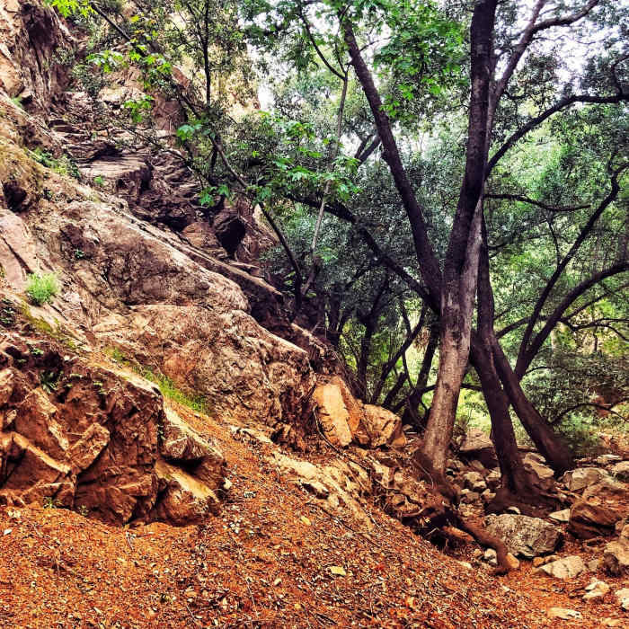 Near Millard Canyon Trail