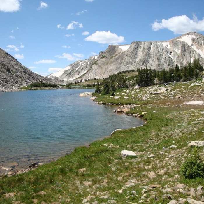 Near Shelf Lakes Trail #109