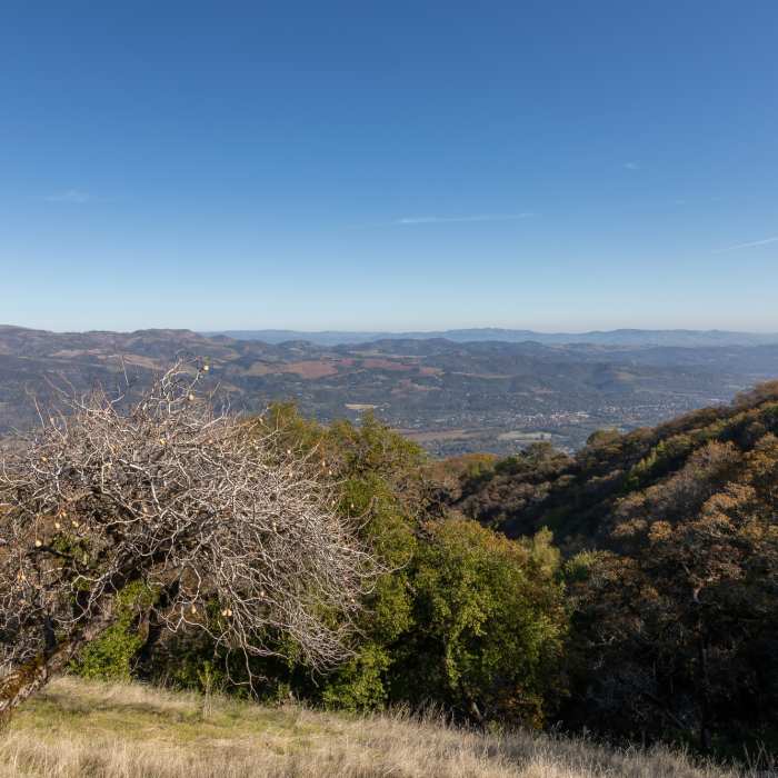 The outskirts of Sonoma Near Bay Area Ridge Trail: Sonoma Ridge Trail