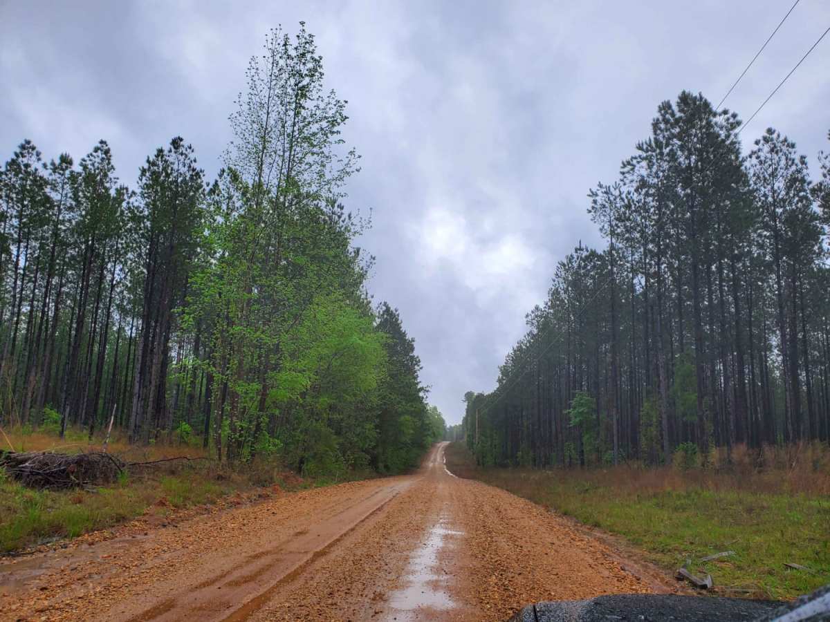 The Arkansas Overland Route - Section 8 - To Spoon Bend Camping Area photo 4