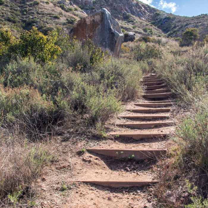 Near Climbers Loop Trail