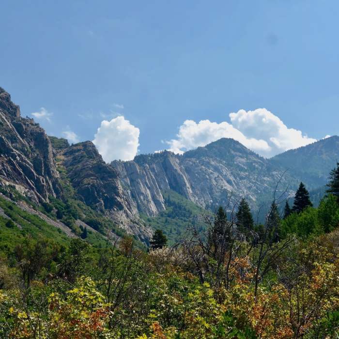 Near Bells Canyon Trail