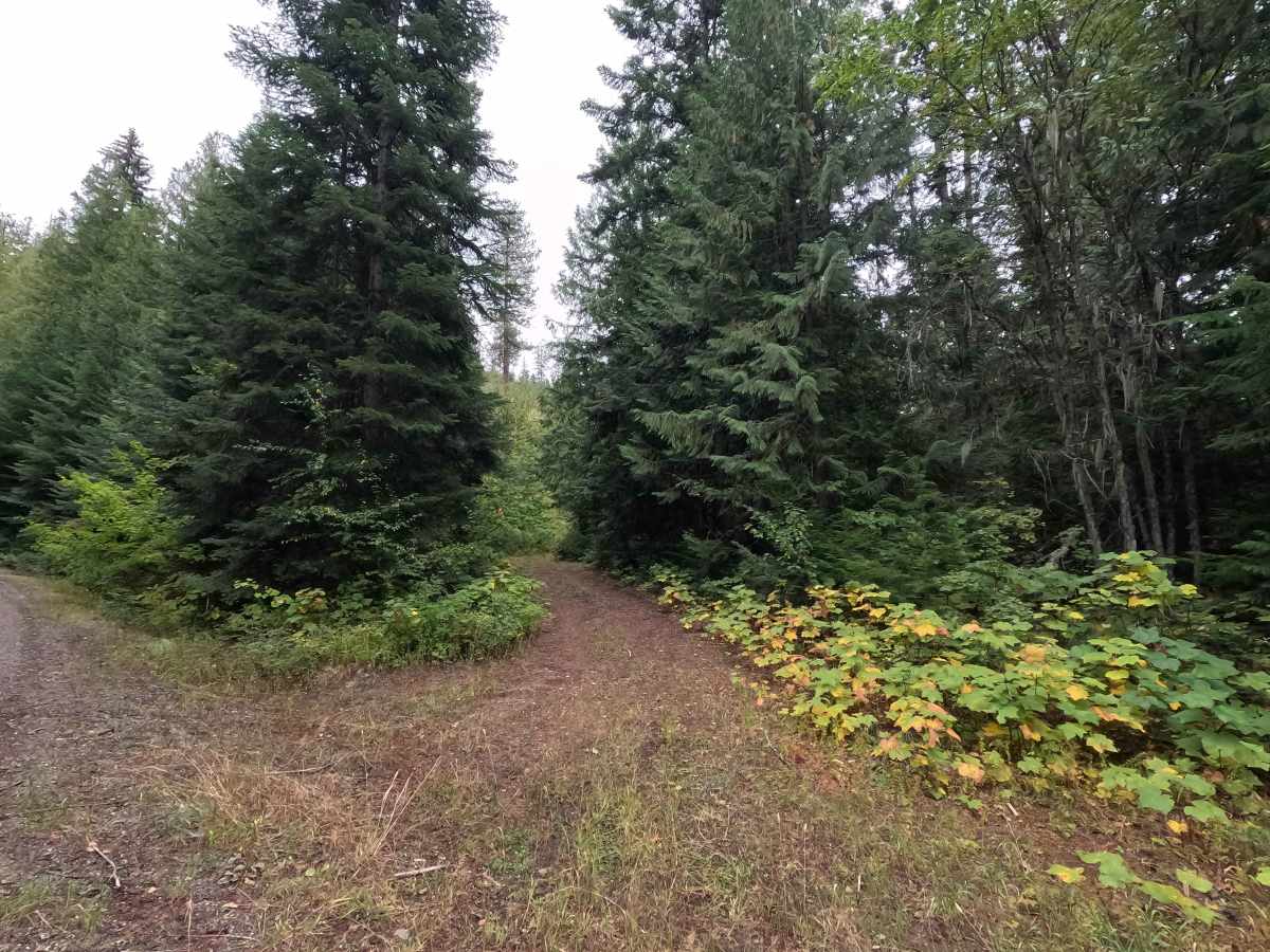 Greenhood C - FS 2730C trail photo
