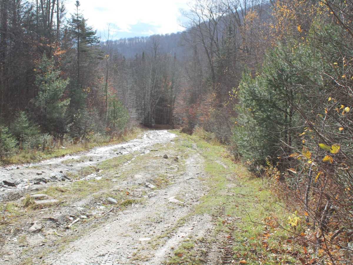 Woodbury Mountain Road photo 3