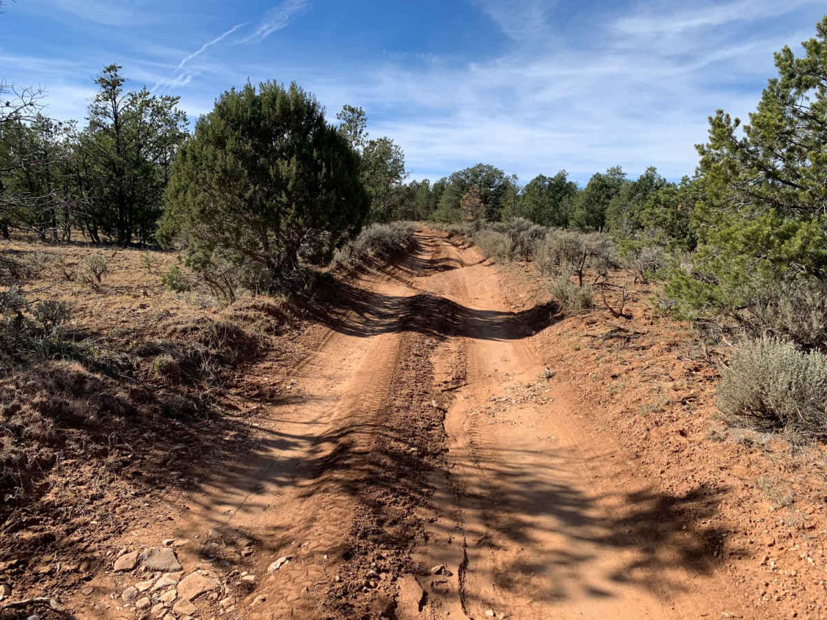 The Great Western Trail 150 photo 2