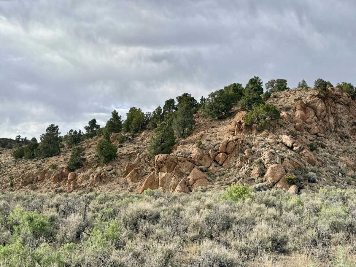 Long Canyon - FS 43375 photo 5