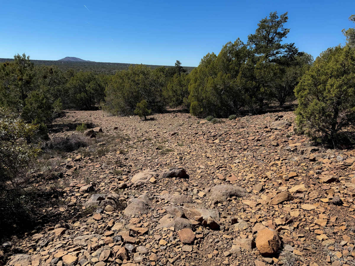 Smith Mesa Corral #665  photo 5