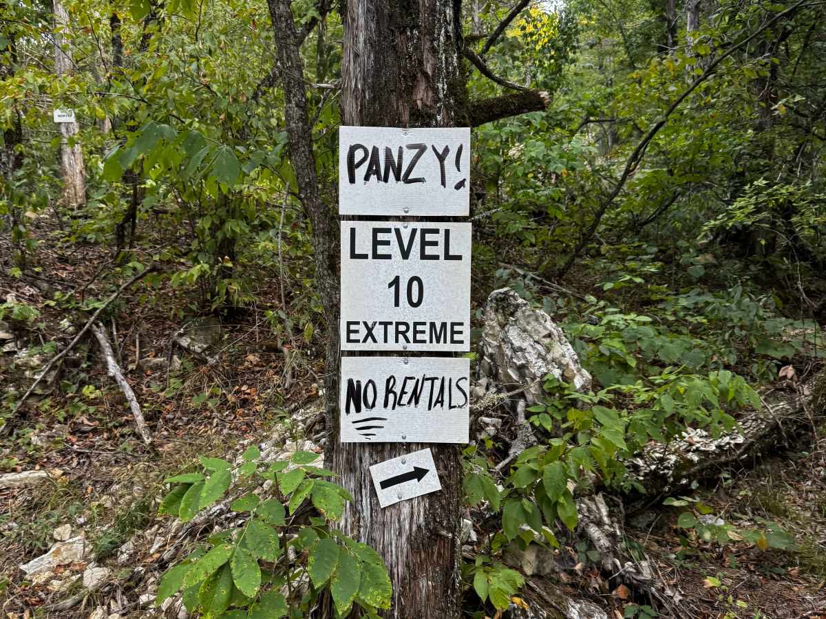 Pansy 1 trail photo