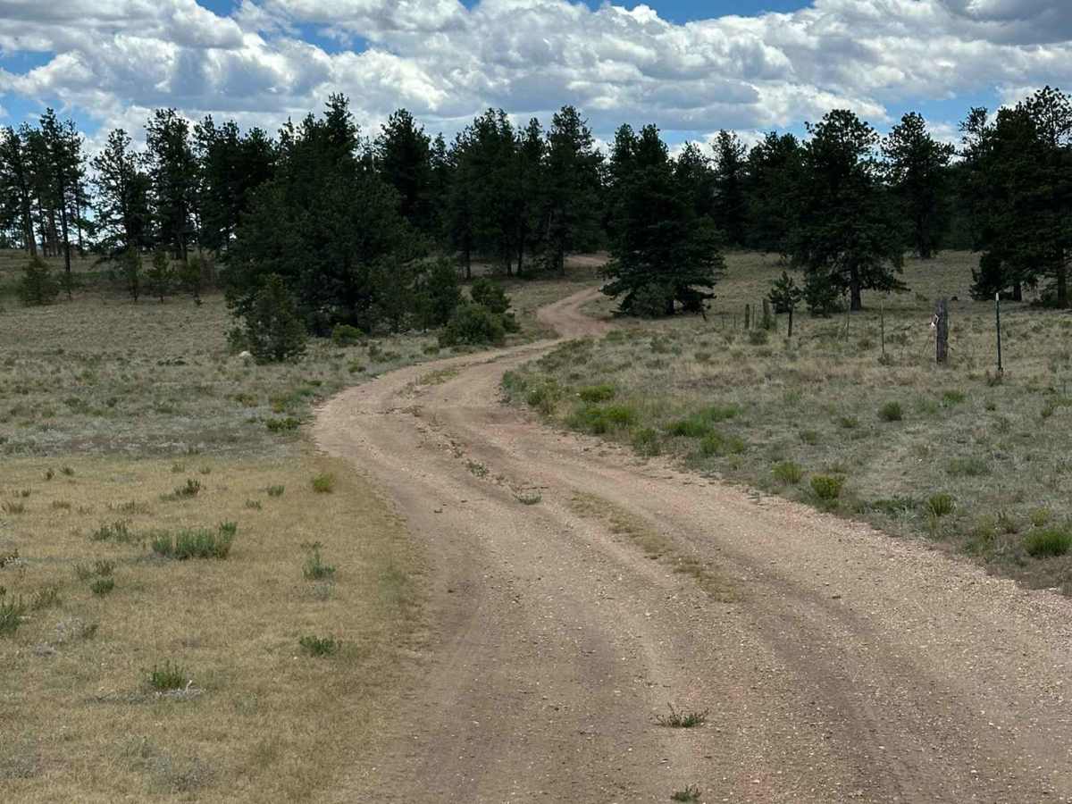 Zig Zag Loop trail photo