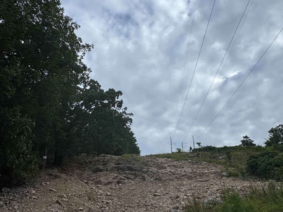 H19 Pinion Hill trail photo