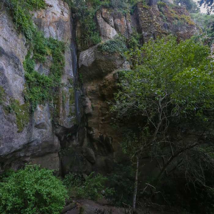 Near Waterfall Trail Near Waterfall Trail