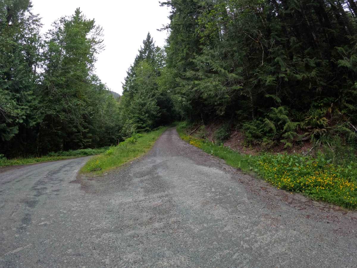 Gee Creek - FS 1705 trail photo