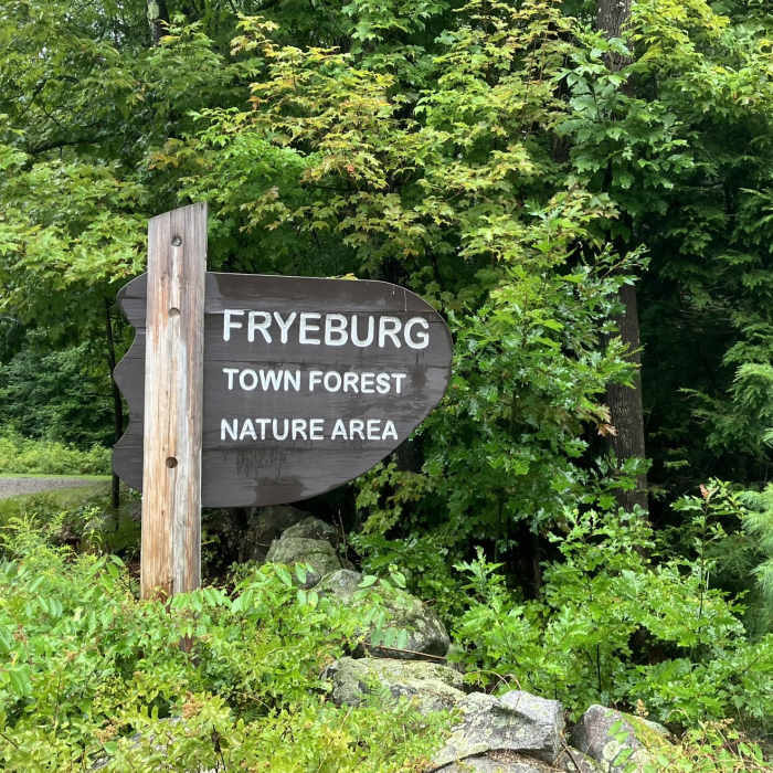 Near Fryeburg Forest Loop