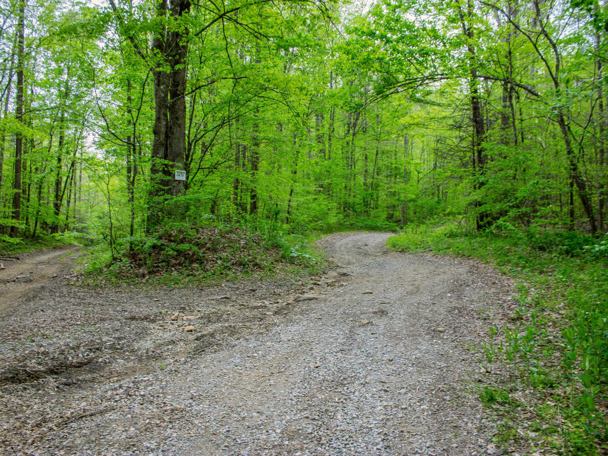 Patterson Cemetery Road photo 5