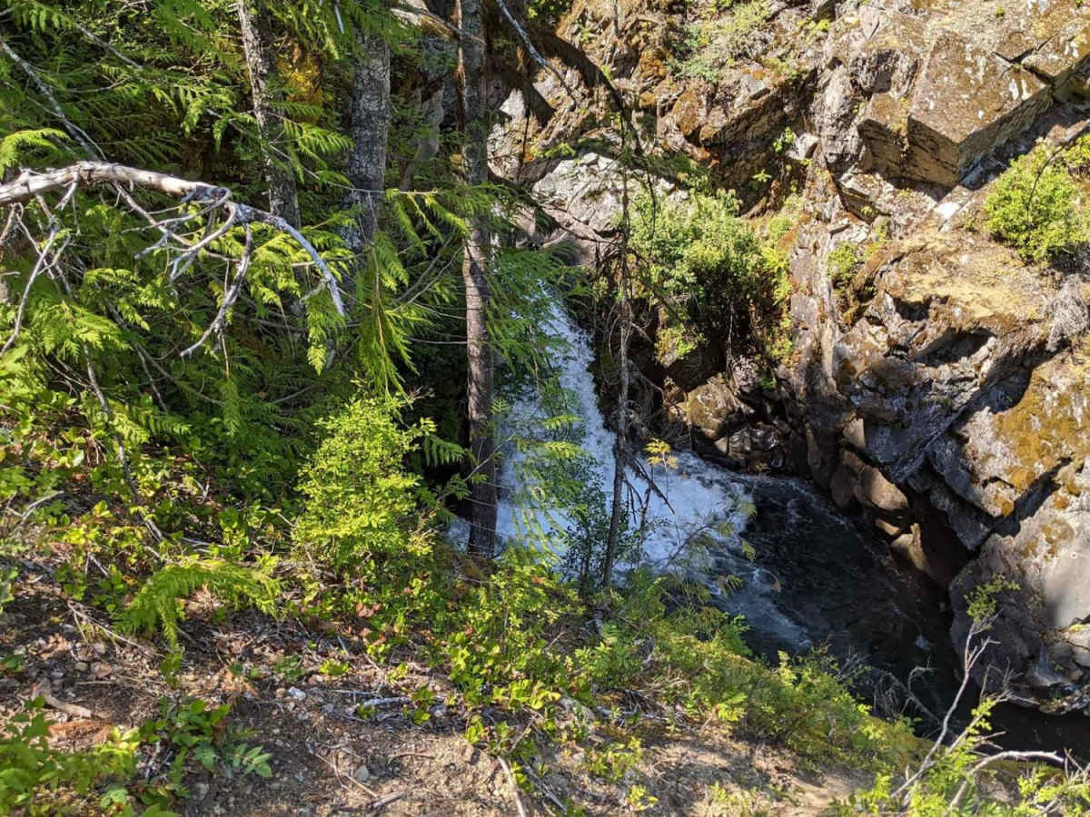 Hamma Hamma Falls photo 6