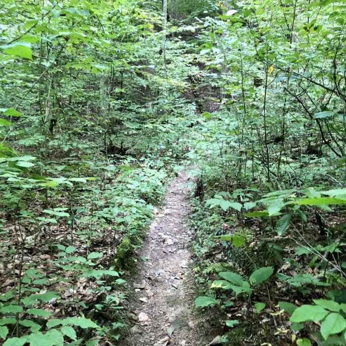 Near Scarce O' Fat Loop