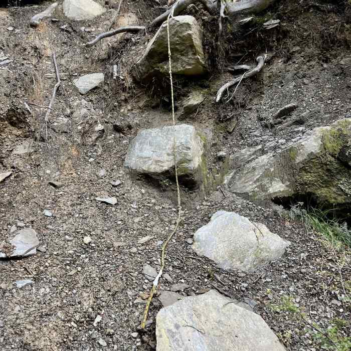 Near Earnslaw Burn Track Near Earnslaw Burn Track