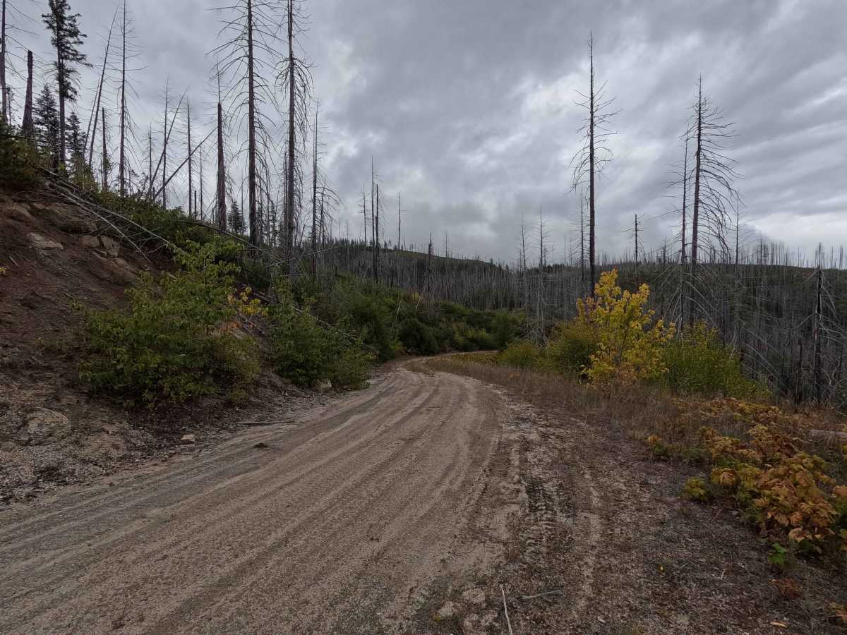 Solo Creek B - FS 659B photo 2