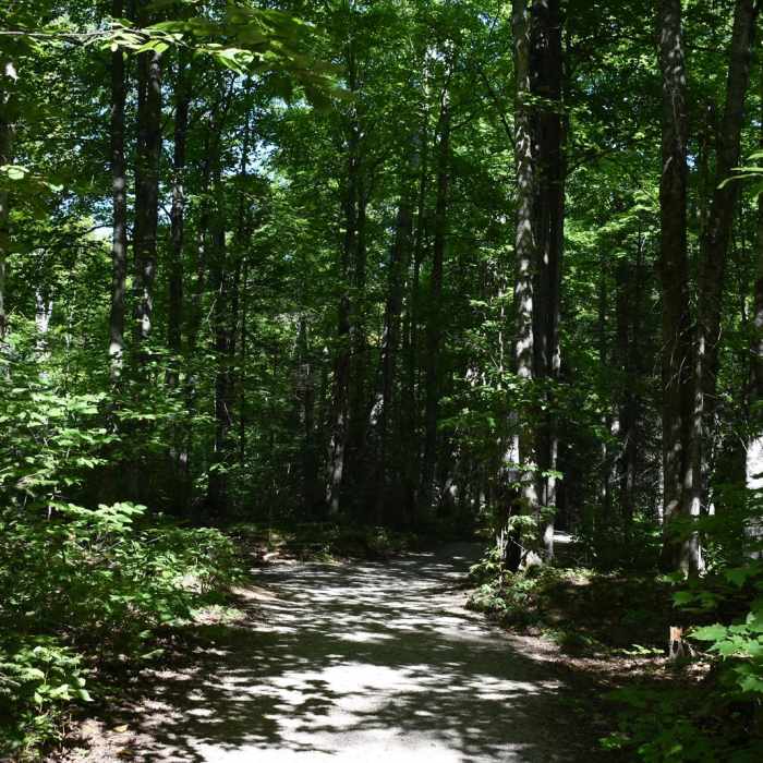 Near Hike to Laughing Whitefish Falls Near Hike to Laughing Whitefish Falls