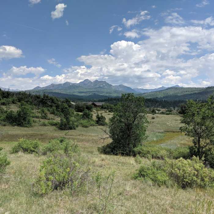 A beautiful view from the trail. Near Coyote Hill Loop (314)