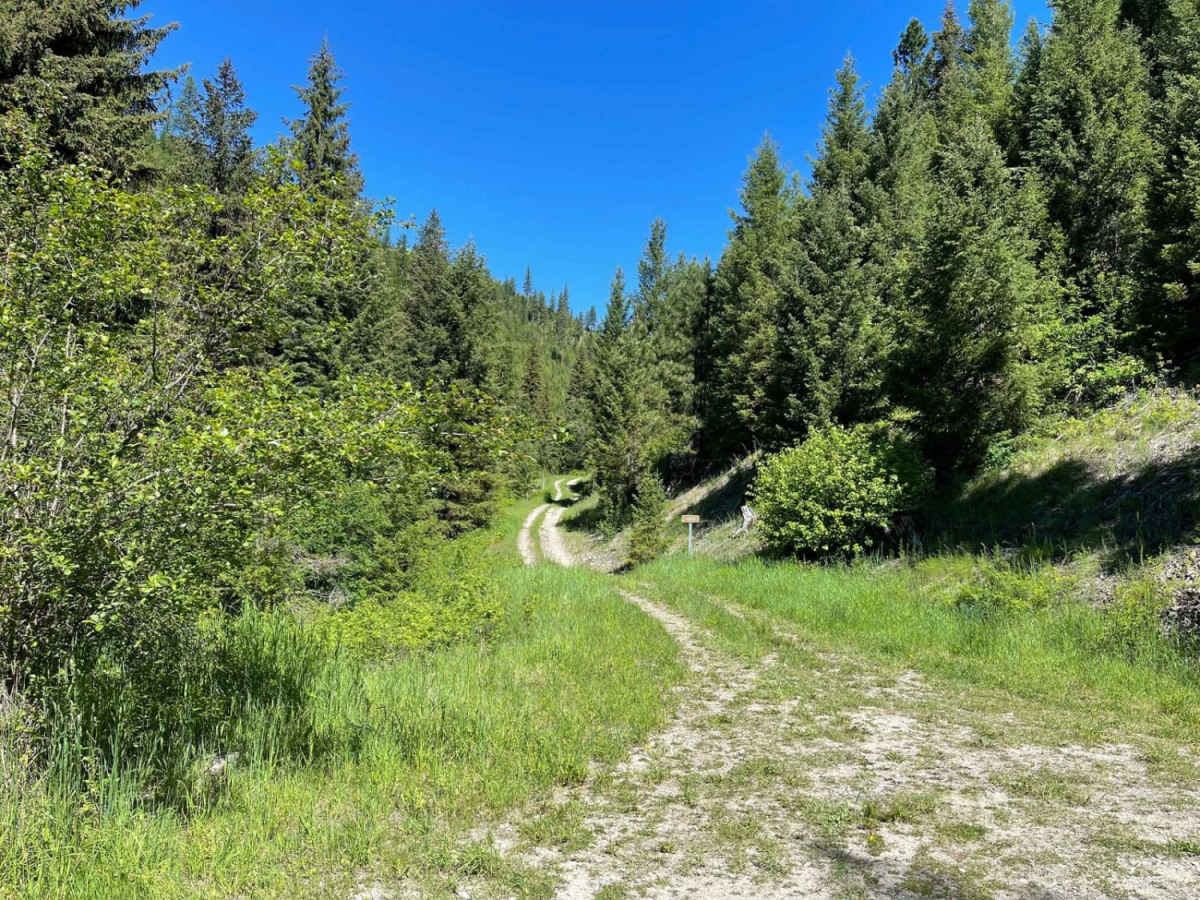 North Fork Howard Trailhead trail photo