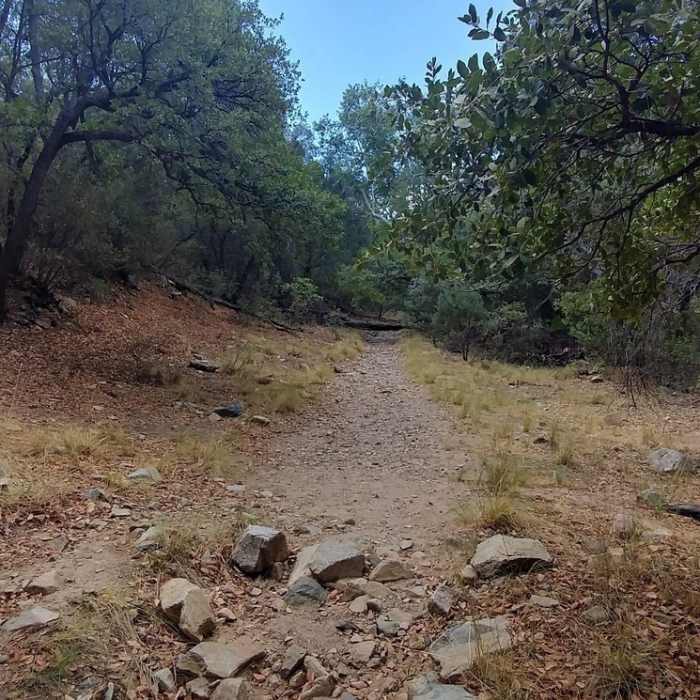 At the trailhead Near Josephine Saddle via Super Trail